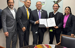 Imagen Card
